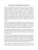 Ensayo. FINANCIAMIENTO DEL SECTOR RURAL.