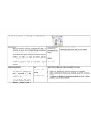 PLAN DE TRABAJO SITUACION DE APRENDIZAJE: EL HUERTO ESCOLAR.