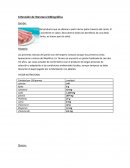 Tarta de jamon y queso.