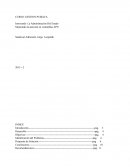 Innovando La Administración Del Estado