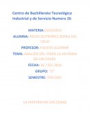TEMA: ANALISIS DEL VIDEO LA HISTORIA DE LAS COSAS