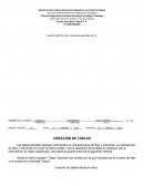 Elaboracion de pie de pagina en word.