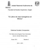 El cultivo de maíz transgénico en México