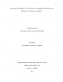 ELCONTROL INTERNO Y SU EFECTIVO EN EL RECAUDO EFICIENTE DE LAS CUENTAS POR COBRAR DE BIODENT.
