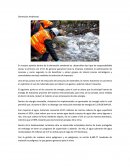 Caos. Dimensión Ambiental