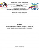Análisis de artículos ambientales de la constititucion