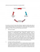 ¿Cuáles son los puntos más importantes en una agenda pública?