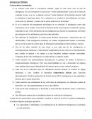 Inteligencias Múltiples Características sustanciales