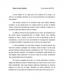 Viaje a la Isla Catalina