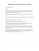 ORDEN CANÓNICO DE LA ESTRUCTURA DE LA ORACIÓN