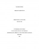 Administracion ambiental y de los recursos naturales. Desarrollo de actividad Nº 1