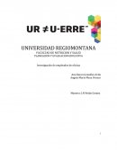PLANEACION Y EVALUACION EDUCATIVA. Nutrición Laboral