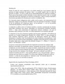 Ensayo depresion