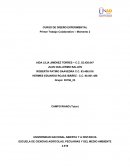 Diseño experiemental. Trabajo Colaborativo