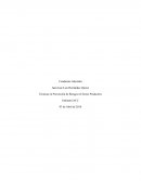 Técnicas en Prevención de Riesgos en Sector Productivo. Proceso Productivo