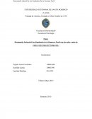 Desempeño laboral de los Empleados de la Empresa Textil con dos años o más de Labor en la Línea de Producción