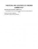 SISTEMA DE GESTION AMBIENTAL INGENIERIA EN PREVENCION DE RIESGOS