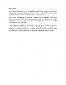 Separación de sustancias. DISCUSIÓN DE RESULTADOS