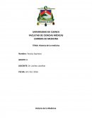 Historia de la medicina.