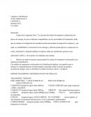 Transporte y logística: Claves para una distribución eficiente