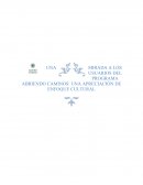 UNA MIRADA A LOS USUARIOS DEL PROGRAMA ABRIENDO CAMINOS: UNA APRECIACIÓN DE ENFOQUE CULTURAL