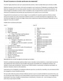 Por qué Cascanueces es la mejor opción para esta temporada?