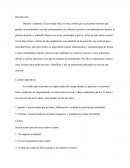 Lesiones en el deporte