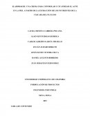 ELABORAR DE UNA CREMA PARA CONTROLAR Y CICATRIZAR EL ACNÉ EN LA PIEL A PARTIR DE LA EXTRACCIÓN DE LOS NUTRIENTES DE LA CÁSCARA DEL PLÁTANO