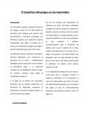 El beneficio del pulgar en los homínidos