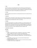 Guión de Animación