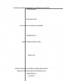 INFORME DE ENSAYO MEDIANTE LA TÉCNICA DE LÍQUIDOS PENETRANTES