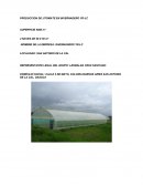 PRODUCCION DE JITOMATE EN INVERNADERO YR-LC