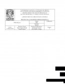 LABORATORIO DE FARMACOLOGIA GENERAL PRACTICA NO. 4 TALLER DE FARMACOCINETICA 1