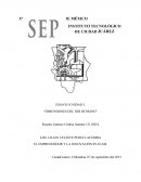 ENSAYO UNIDAD I “DIMENSIONES DEL SER HUMANO”