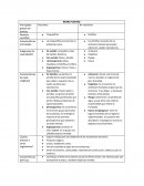 Reino Plantae. Principales grupos de plantas