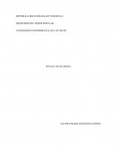 Ensayo de filosofia. A lo largo del tiempo, la filosofía siempre ha tenido un objetivo