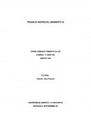 TRABAJO INDIVIDUAL (MOMENTO 5)