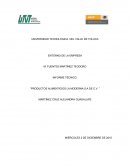 Productos alimenticios la Moderna S.A de C.V.