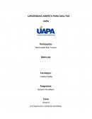 Los Órganos de la Jurisdicción Inmobiliaria.