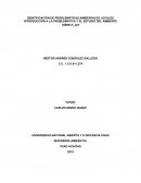 IDENTIFICACIÓN DE PROBLEMÁTICAS AMBIENTALES LOCALES