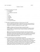 Que aspecto de seguridad que debo tener a la hora de enviar un E-mail?