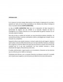 Creación de empresa DISTRI SUMINISTROS.