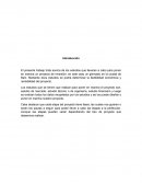 El presente trabajo trata acerca de los estudios que llevaran a cabo para poner en marcha un proyecto de inversión