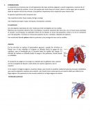 La respiración es el proceso por el cual ingresamos aire