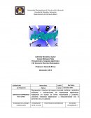 Pensamiento y lenguaje algebraico VIII Semestre Mención Matemática