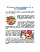 Sistema de protección integral a la primera infancia Chile crece contigo