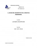 CD. VALLES, S.L.P. 1a ACCION DEL DIAGNOSTICO DE LA PRÁCTICA PROFESIONAL