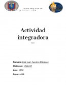 Explicación breve de cada paso del proceso del carbono.