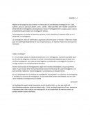 Ensayo de la investigación.