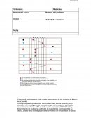 Investigacion de mercados actividad 2